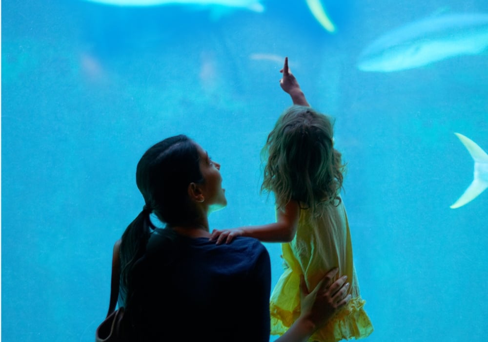 Mother and daughter pointing at fish at Dry Tortugas