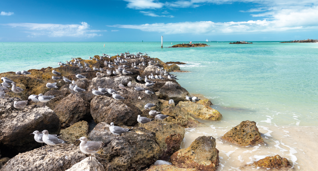 Fort Zachary Beach in Key West, Florida near Blue Flamingo Resort.