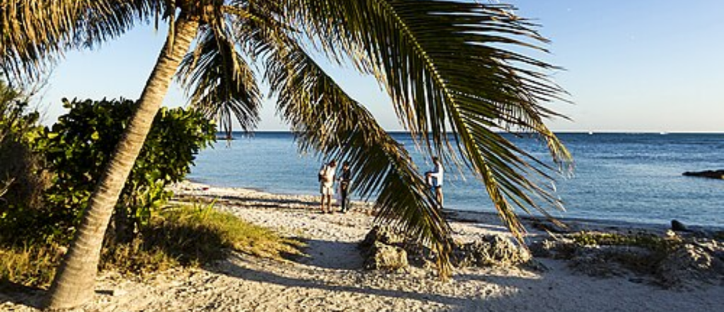 Palm-shaded shoreline and clear water at Fort Zachary Taylor State Park in Key West