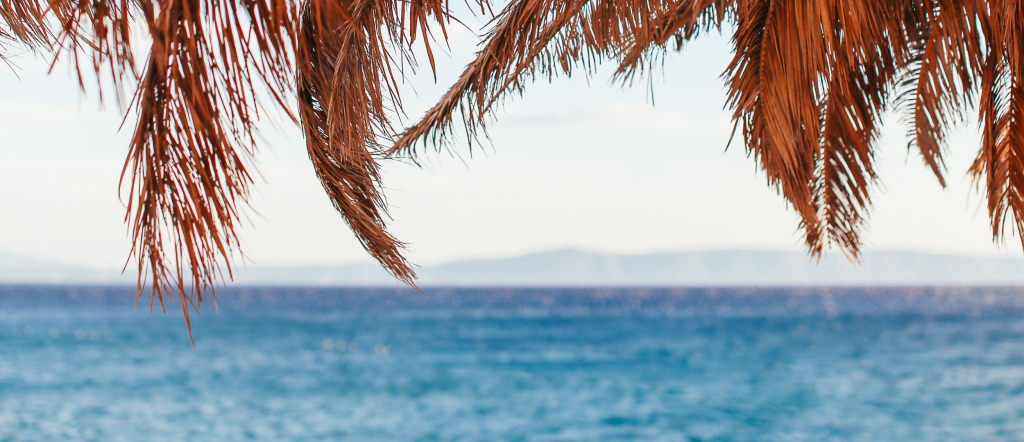 Palm-leaf sunshade overlooking clear blue water at a quiet tropical beach