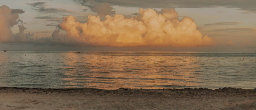 Golden clouds reflecting over calm water along the Key West shoreline