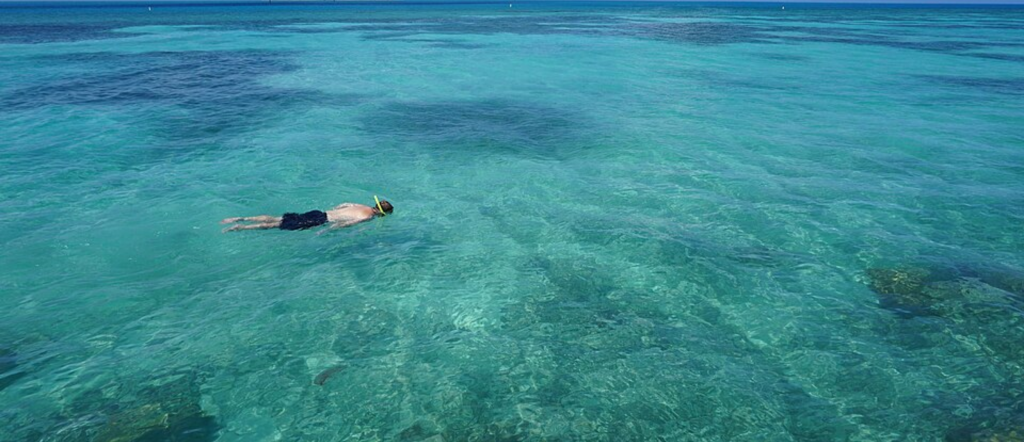 Snorkeler floating above coral habitat in clear water at Dry Tortugas National Park